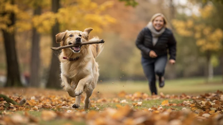 lady dog runnig autumn