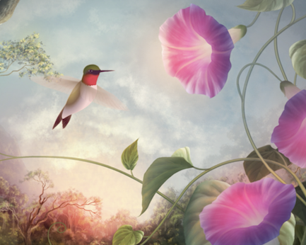Hummingbird in flowers