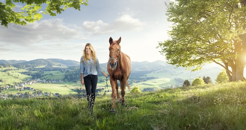 Susan Horse Stafforshire Hills